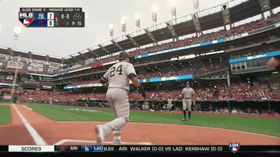 Yankees GIF by Jomboy Media