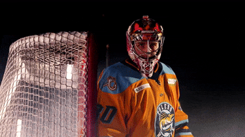 Hockey GIF by Toledo Walleye