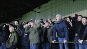 Miss Disappointment GIF by Dunfermline Athletic Football Club