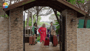 Happy Summer GIF by Show TV