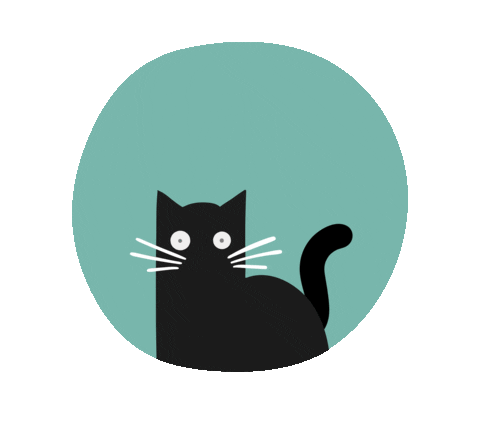 ghostranch giphyupload cat no black cat Sticker