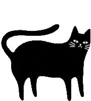 Black Cat Sticker