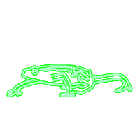 Walking Frog Sticker