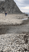 Creek Jump Attempt Ends With A Splash GIF by ViralHog