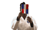 France Sport Sticker by Paris Saint-Germain Judo
