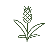 Costa Rica Loop Sticker by eco:fibr