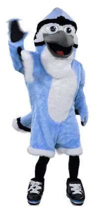 Blue Jay Hello Sticker by Johns Hopkins University