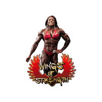 WingsofStrength wings bodybuilding strong woman personal training Sticker