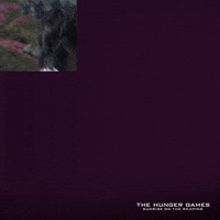 The Hunger Games GIF by Lionsgate