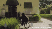 BlackBearDiner bear cycling bicycle bears GIF