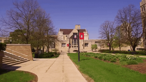 campus niu GIF by Northern Illinois University