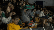 Bufanda GIF by Araski