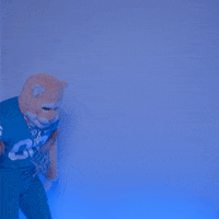 Byu Football Sport GIF by BYU Cougars