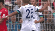 German Soccer Hug GIF by FC Schalke 04