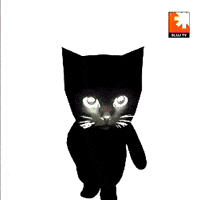 Sluj GIF