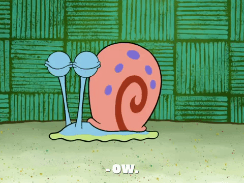 season 8 episode 3 GIF by SpongeBob SquarePants