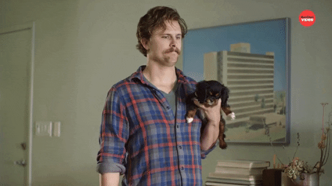 Best Friends Dog GIF by BuzzFeed