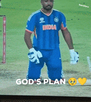 Indian Cricket India GIF