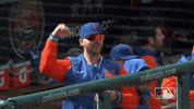 Celebrate Major League Baseball GIF by MLB