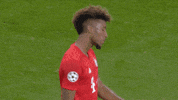Sorry Champions League GIF by FC Bayern Munich