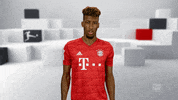 Fc Bayern Football GIF by Bundesliga