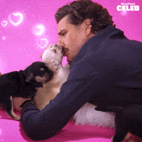 Star Wars Love GIF by BuzzFeed