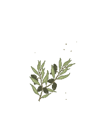 Branch Athena Sticker