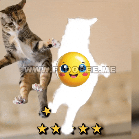 FlooBee giphyupload cats GIF