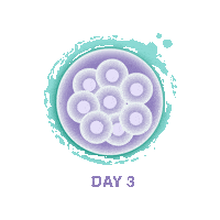 Sticker by Advanced Fertility Center Cancun