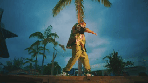 wild thoughts GIF by DJ Khaled
