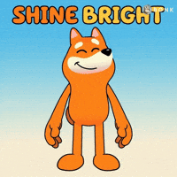 Shiba Inu Smiling GIF by BONK