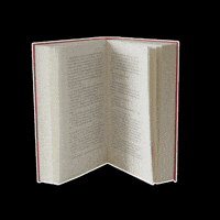 Dream Home GIF by Dream Home Art Union