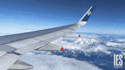 iesabroad travel adventure explore study abroad GIF
