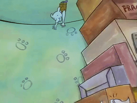 nicksplat GIF