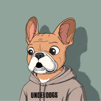 underdogscity reaction dog wow mood GIF