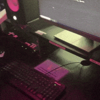 Domi GIF