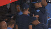 Blue Jays Baseball GIF by Toronto Blue Jays