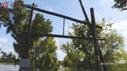 Travel Water GIF by Visit Fort Worth
