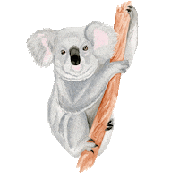 AlexaMartinDesigns watercolor koala alexa amd Sticker