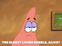 season 5 GIF by SpongeBob SquarePants