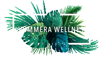 WimmeraWellness essential oils oils oil of the day wimmera wellness Sticker