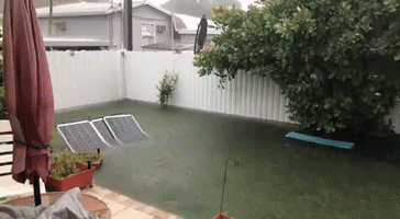 Frustrated Homeowner Bails Water Out of Flooded Miami Backyard