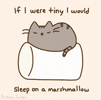 cat marshmallow GIF by Pusheen