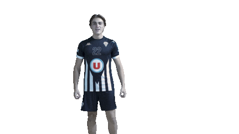 Sport Sticker by SCO Handball