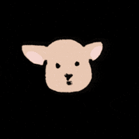 GreyRabbitu wow no what shocked GIF