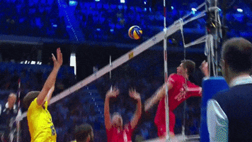Shall Not Pass Right Time GIF by Volleyball World