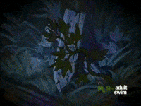 smoke weed GIF