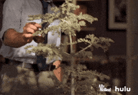 ally mcbeal fox television classics GIF by HULU