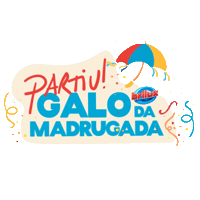 Carnaval Limpeza Sticker by Brilux