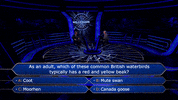 Wwtbams08E08 GIF by Stellify Media